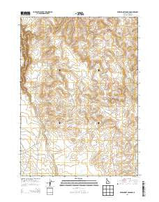 Wickahoney Crossing Idaho Current topographic map, 1:24000 scale, 7.5 X 7.5 Minute, Year 2013