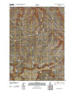 Wickahoney Point Idaho Historical topographic map, 1:24000 scale, 7.5 X 7.5 Minute, Year 2010