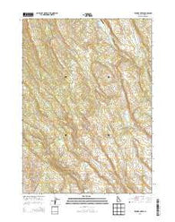 Wickiup Creek Idaho Current topographic map, 1:24000 scale, 7.5 X 7.5 Minute, Year 2013