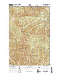 Widow Mountain Idaho Current topographic map, 1:24000 scale, 7.5 X 7.5 Minute, Year 2013