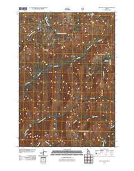 Wild Buck Peak Idaho Historical topographic map, 1:24000 scale, 7.5 X 7.5 Minute, Year 2011