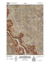 Wild Horse Butte Idaho Historical topographic map, 1:24000 scale, 7.5 X 7.5 Minute, Year 2010
