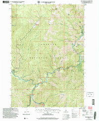 Williams Peak Idaho Historical topographic map, 1:24000 scale, 7.5 X 7.5 Minute, Year 2004