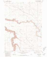Winter Camp Idaho Historical topographic map, 1:24000 scale, 7.5 X 7.5 Minute, Year 1980
