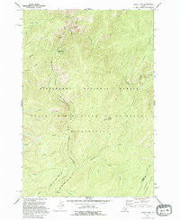 Wood Hump Idaho Historical topographic map, 1:24000 scale, 7.5 X 7.5 Minute, Year 1991