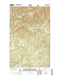 Wylie Knob Idaho Current topographic map, 1:24000 scale, 7.5 X 7.5 Minute, Year 2013
