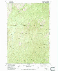 Wylies Peak Idaho Historical topographic map, 1:24000 scale, 7.5 X 7.5 Minute, Year 1991