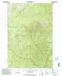 Wylies Peak Idaho Historical topographic map, 1:24000 scale, 7.5 X 7.5 Minute, Year 1995
