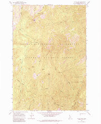 Wylies Peak Idaho Historical topographic map, 1:24000 scale, 7.5 X 7.5 Minute, Year 1966