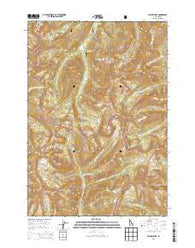 Yellow Peak Idaho Current topographic map, 1:24000 scale, 7.5 X 7.5 Minute, Year 2013