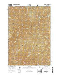 Yellowjacket Idaho Current topographic map, 1:24000 scale, 7.5 X 7.5 Minute, Year 2013