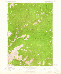 Yellowjacket Idaho Historical topographic map, 1:24000 scale, 7.5 X 7.5 Minute, Year 1963