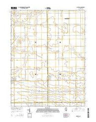 Allerton Illinois Current topographic map, 1:24000 scale, 7.5 X 7.5 Minute, Year 2015