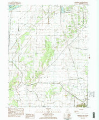 Arenzville West Illinois Historical topographic map, 1:24000 scale, 7.5 X 7.5 Minute, Year 1983