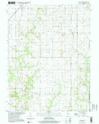Bald Knob Illinois Historical topographic map, 1:24000 scale, 7.5 X 7.5 Minute, Year 1998