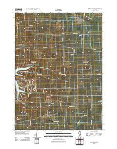 Boone Branch Illinois Historical topographic map, 1:24000 scale, 7.5 X 7.5 Minute, Year 2012