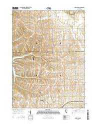 Boone Branch Illinois Current topographic map, 1:24000 scale, 7.5 X 7.5 Minute, Year 2015