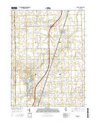 Buckley Illinois Current topographic map, 1:24000 scale, 7.5 X 7.5 Minute, Year 2015