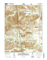 Carrier Mills Illinois Current topographic map, 1:24000 scale, 7.5 X 7.5 Minute, Year 2015