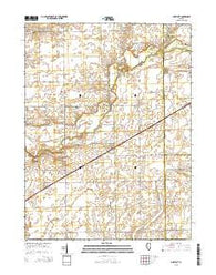 Chestnut Illinois Current topographic map, 1:24000 scale, 7.5 X 7.5 Minute, Year 2015