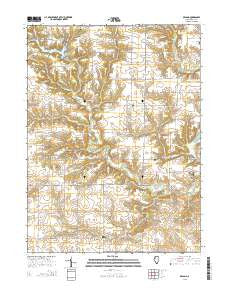 DeLong Illinois Current topographic map, 1:24000 scale, 7.5 X 7.5 Minute, Year 2015