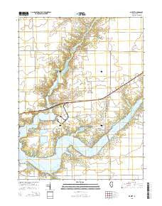 De Witt Illinois Current topographic map, 1:24000 scale, 7.5 X 7.5 Minute, Year 2015