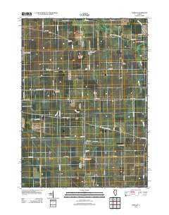 Fairdale Illinois Historical topographic map, 1:24000 scale, 7.5 X 7.5 Minute, Year 2012