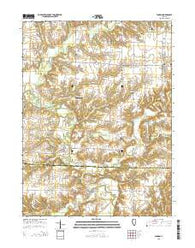 Fandon Illinois Current topographic map, 1:24000 scale, 7.5 X 7.5 Minute, Year 2015
