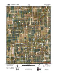 Farmingdale Illinois Historical topographic map, 1:24000 scale, 7.5 X 7.5 Minute, Year 2012