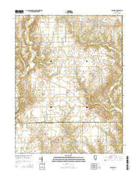 Fillmore Illinois Current topographic map, 1:24000 scale, 7.5 X 7.5 Minute, Year 2015