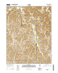 Fishhook Illinois Current topographic map, 1:24000 scale, 7.5 X 7.5 Minute, Year 2015