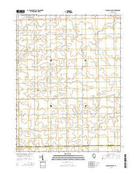 Flanagan South Illinois Current topographic map, 1:24000 scale, 7.5 X 7.5 Minute, Year 2015