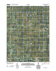Forrest North Illinois Historical topographic map, 1:24000 scale, 7.5 X 7.5 Minute, Year 2012