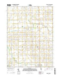 Forrest North Illinois Current topographic map, 1:24000 scale, 7.5 X 7.5 Minute, Year 2015