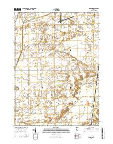 Hahnaman Illinois Current topographic map, 1:24000 scale, 7.5 X 7.5 Minute, Year 2015