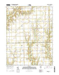 Hazel Dell Illinois Current topographic map, 1:24000 scale, 7.5 X 7.5 Minute, Year 2015