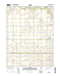 Hindsboro Illinois Current topographic map, 1:24000 scale, 7.5 X 7.5 Minute, Year 2015