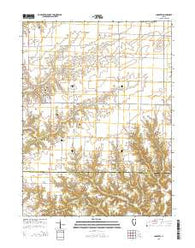 Industry Illinois Current topographic map, 1:24000 scale, 7.5 X 7.5 Minute, Year 2015