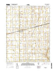 Ivesdale Illinois Current topographic map, 1:24000 scale, 7.5 X 7.5 Minute, Year 2015