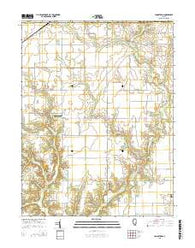Johnstown Illinois Current topographic map, 1:24000 scale, 7.5 X 7.5 Minute, Year 2015