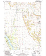 Joy Illinois Historical topographic map, 1:24000 scale, 7.5 X 7.5 Minute, Year 1991