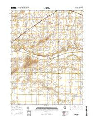 Lake Fork Illinois Current topographic map, 1:24000 scale, 7.5 X 7.5 Minute, Year 2015