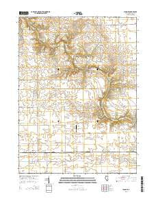 Leonore Illinois Current topographic map, 1:24000 scale, 7.5 X 7.5 Minute, Year 2015