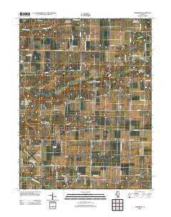 Literberry Illinois Historical topographic map, 1:24000 scale, 7.5 X 7.5 Minute, Year 2012