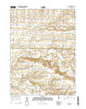 Little York Illinois Current topographic map, 1:24000 scale, 7.5 X 7.5 Minute, Year 2015