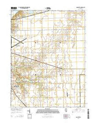 Long Creek Illinois Current topographic map, 1:24000 scale, 7.5 X 7.5 Minute, Year 2015