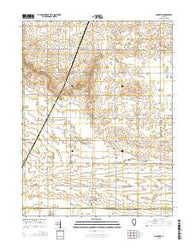 Longview Illinois Current topographic map, 1:24000 scale, 7.5 X 7.5 Minute, Year 2015