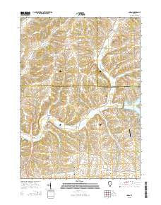 Loran Illinois Current topographic map, 1:24000 scale, 7.5 X 7.5 Minute, Year 2015