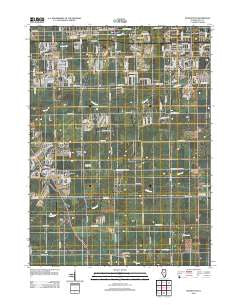 Manhattan Illinois Historical topographic map, 1:24000 scale, 7.5 X 7.5 Minute, Year 2012