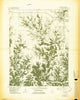 Mt Sterling Illinois Historical topographic map, 1:24000 scale, 7.5 X 7.5 Minute, Year 1981